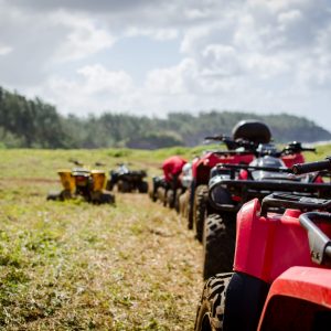 Quad Bike safari