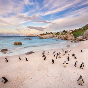 Boulders Beach