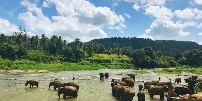 Sri Lanka
