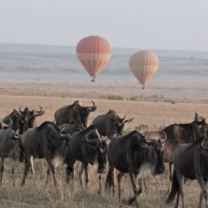 Serengeti Balloon Safari