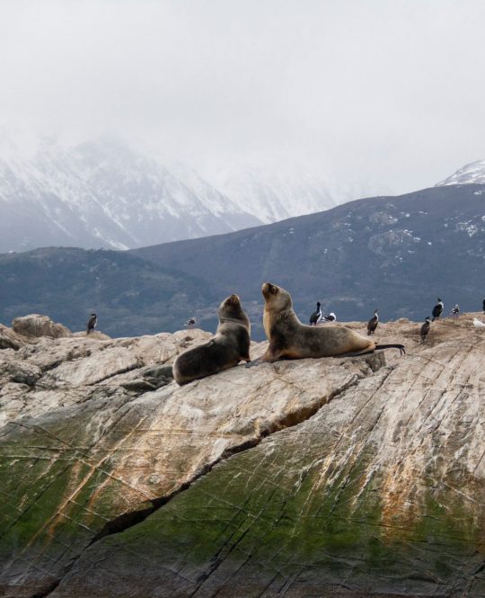 Ushuaia Argentina