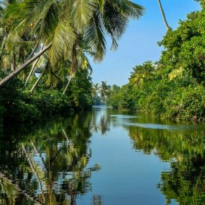 negombo lagoon 04