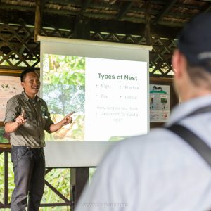 Orangutan Talk (2)