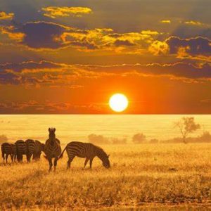 Etosha National Park