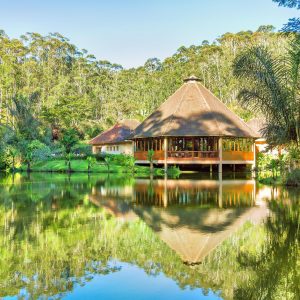 andasibe-mantadia-national-park