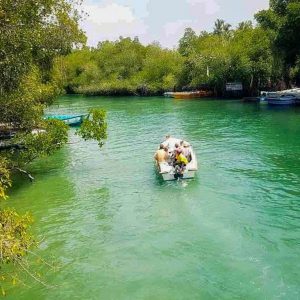 Madu River Boat Safari