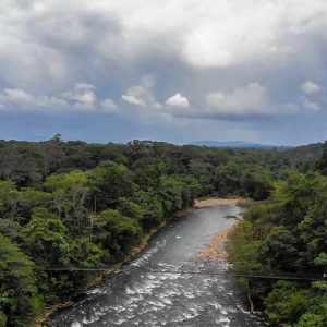 Sarapiqui