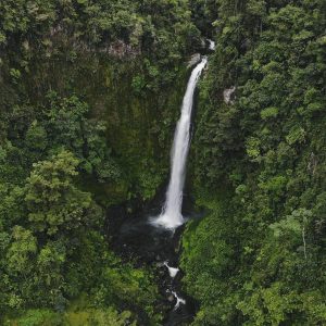 joseph-pina-WfkxOxKEXLk-unsplash