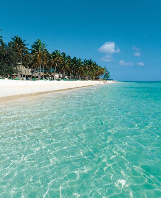 Bavaro