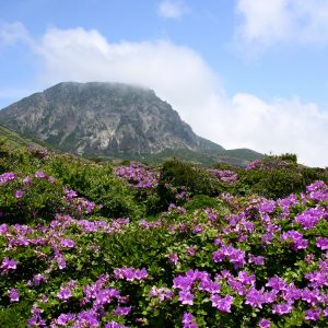 Hallasan South Korea