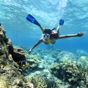Snorkelling In Fiji