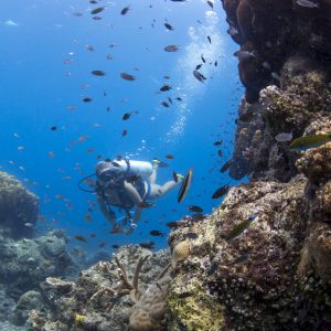 blonde_divers_deep_diving_in_coral_reef_with_colourful_fishes (1)
