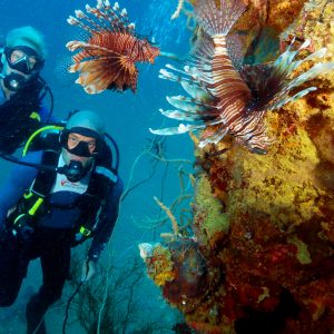 coron dive sites