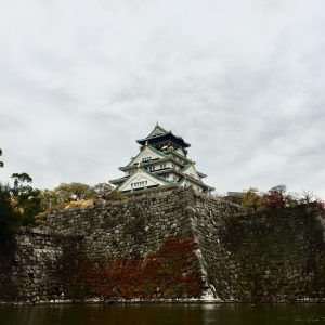 macy-ng--wkZ1MXOgQM-unsplash