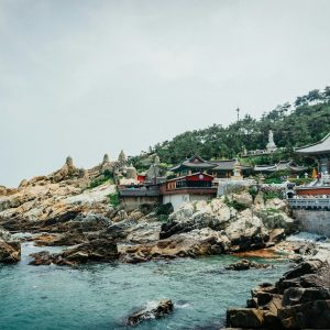 thomas-roger-lux-xRAEPmP9M8s-unsplash