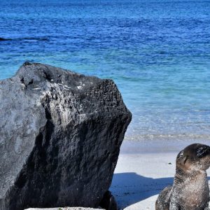 EC-Galapagos-Espanola-Punta-Suarez-Introduction-1200x630