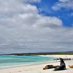 Gardener Bay