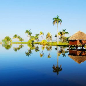 Guama Cuba