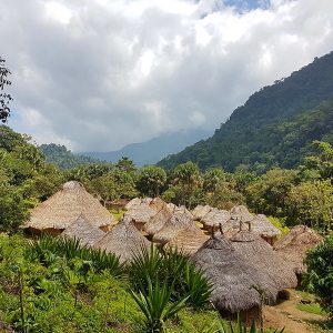 Kogui Village