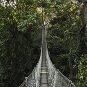 Tambopata Nature Reserve