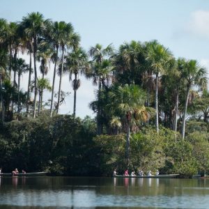 Tambopata Nature Reserve