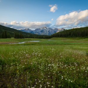 pete-nuij-0KzMqtWT6BQ-unsplash