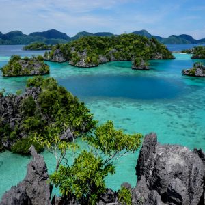 Pulau-Labengki-Sulawesi-Indonesia-2