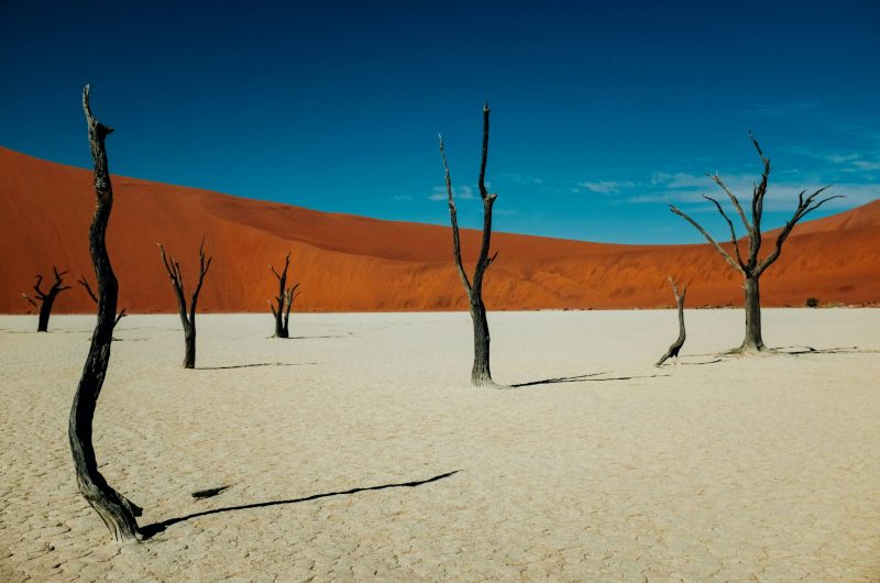 Namibia Landscapes Namibia Landscapes