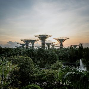 isaac-66h9h7gXotA-unsplash isaac-66h9h7gXotA-unsplash