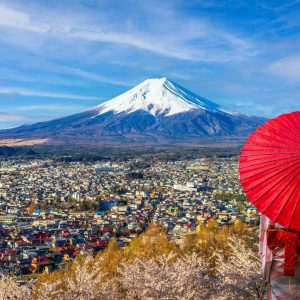 ASSZMOUNTFUJI-2